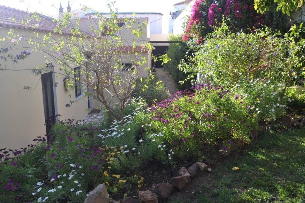 Garden In The City Silves Dış mekan fotoğraf