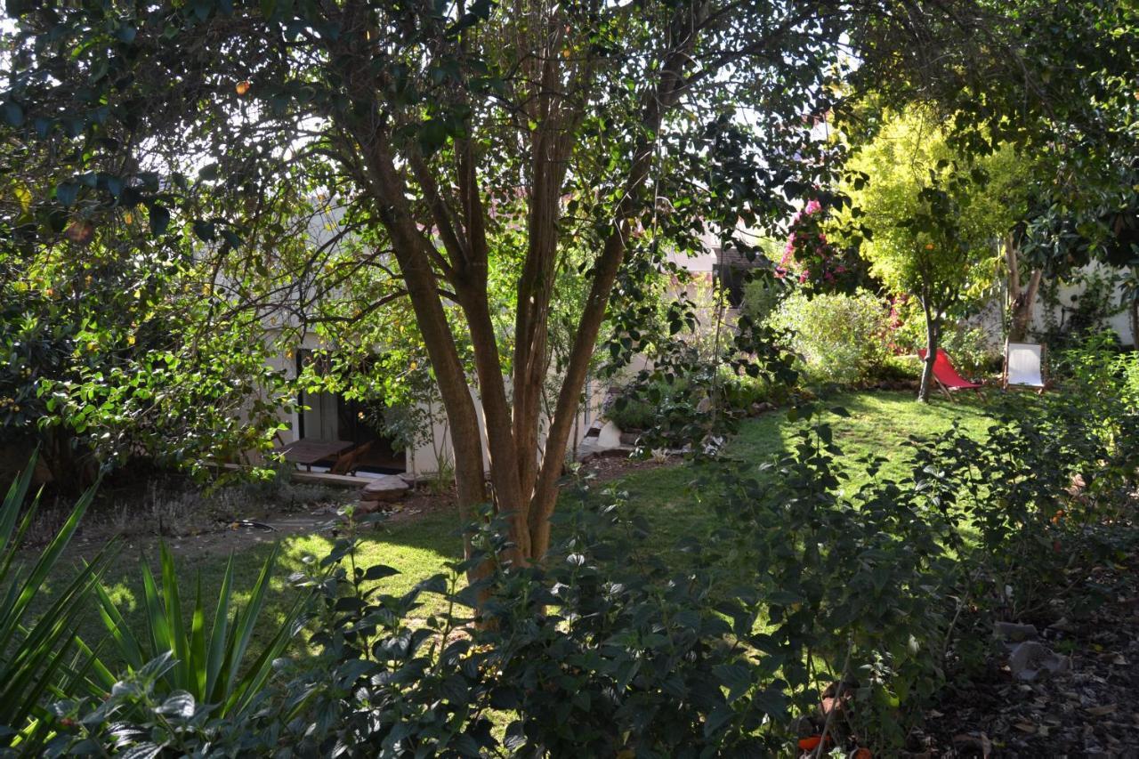 Garden In The City Silves Dış mekan fotoğraf